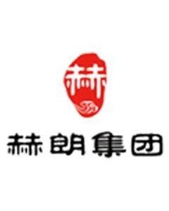河南赫朗企業管理咨詢集團 專業護航企業發展的智慧伙伴